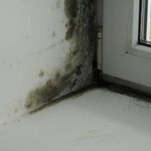 Дезинфекция